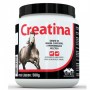 creatina-500g